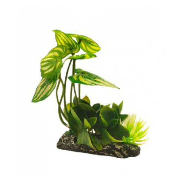 ΔΙΑΚΟΣΜΗΤΙΚΟ ΦΥΤΟ ΕΝΥΔΡΕΙΟΥ 15.5Χ11.5CM